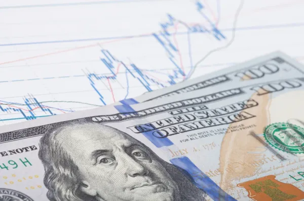 Gross Income﻿