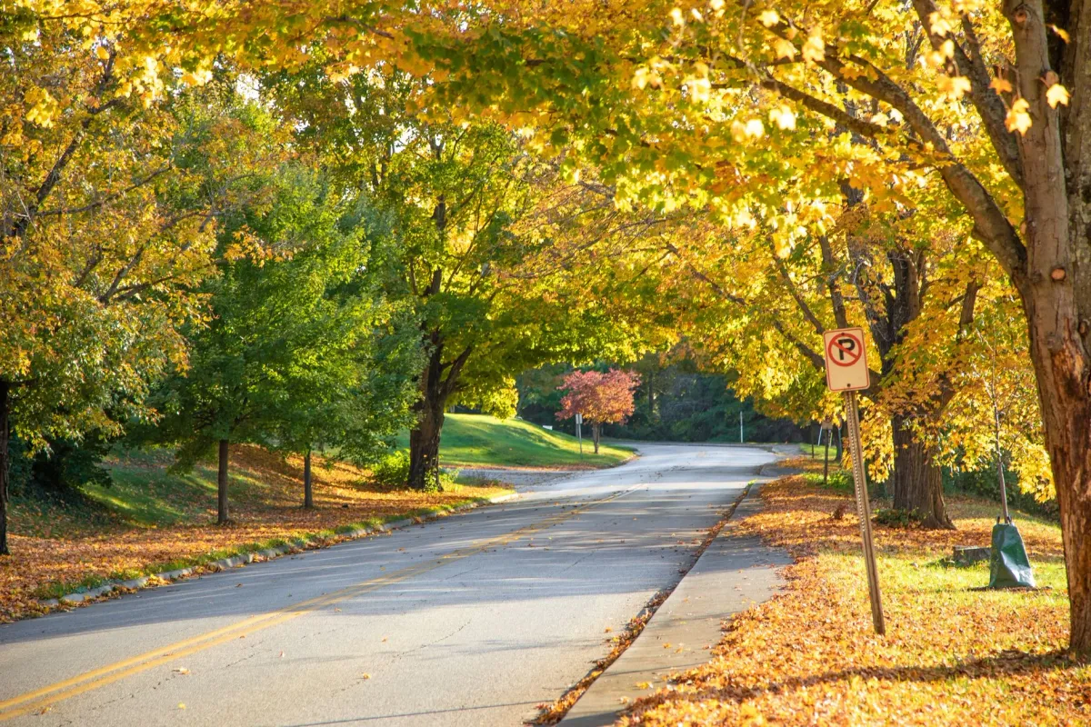 Homes along a tree-lined street in Harrisonburg, Virginia in fall