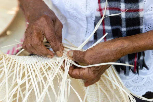 The Kiva Program