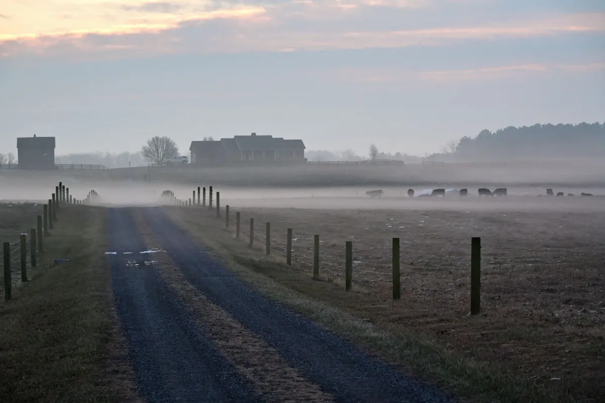 Misty morning view of a Shenandoah Valley farm with rolling pasture and fencing at sunrise