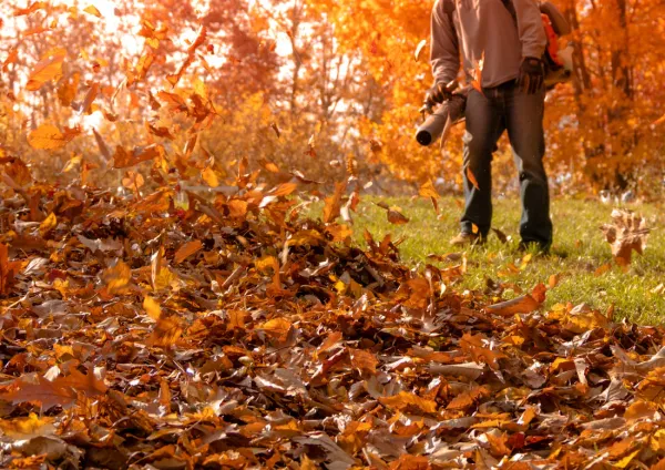 When Will Harrisonburg Collect Your Leaves?